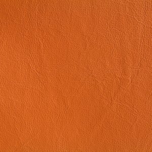 'agenda'の画像