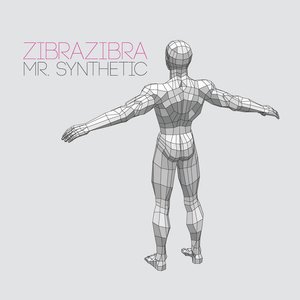 Image for 'Mr. Synthetic'