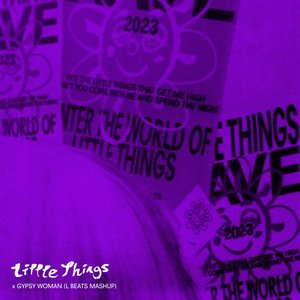 Bild für 'Little Things x Gypsy Woman (L BEATS MASHUP)'