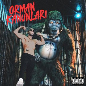 “ORMAN KANUNLARI”的封面