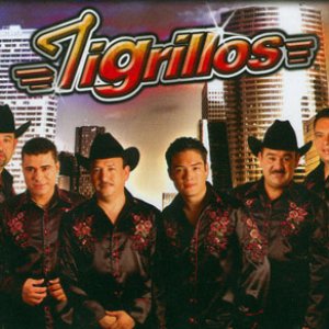 Image pour 'Los Tigrillos'