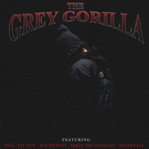 Изображение для 'GREY GORILLA'