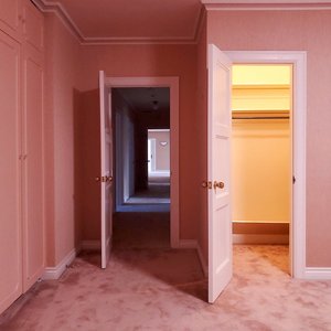 Image for 'Visitor'