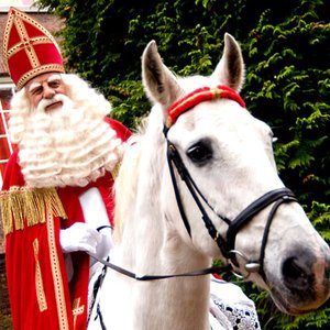 Bild für 'Sinterklaasliedjes'