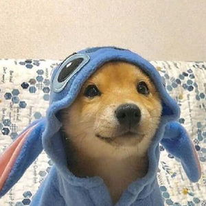 ShibaMuted