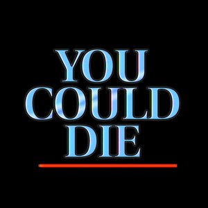 Image for 'YOU COULD DIE !?'