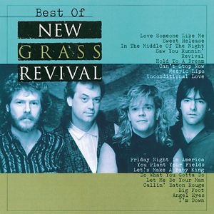 Image pour 'Best Of New Grass Revival'