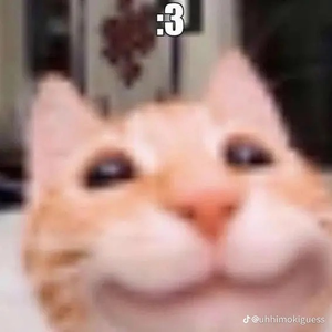 Shrimpyyy