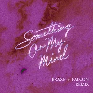 Image for 'Something On My Mind (Braxe + Falcon Remix)'