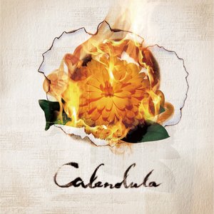 “Calendula”的封面