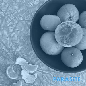 Image for 'Parasite'