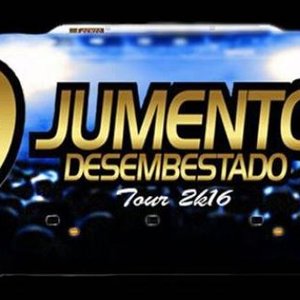 Image for 'Banda Jumento Desembestado'