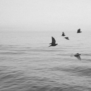 Image for 'Views From Sixteen Stories'