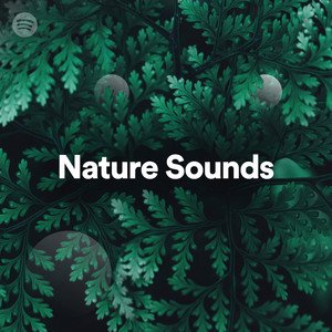 'Nature Sounds'の画像