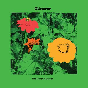 'Life Is Not A Lesson'の画像