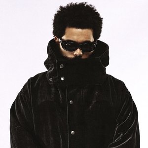 Bild für 'The Weeknd'