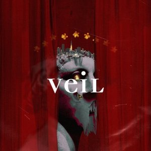 Image for 'VeiL'