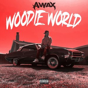 Image for 'Woodie World'