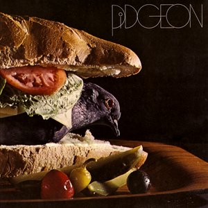 Image for 'Pidgeon'