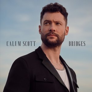 Image for 'Bridges'