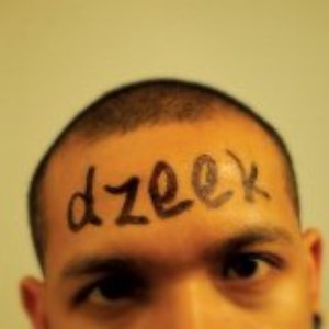 “dzeek”的封面