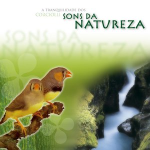 Image for 'A Tranquilidade Dos Sons Da Natureza'