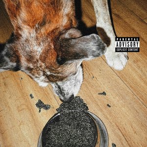 “Du caviar pour mon chien”的封面