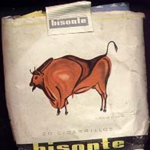 Bild für 'bisonte'