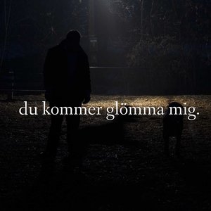 Image pour 'Du kommer glömma mig'