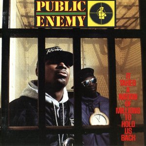 “It Takes A Nation Of Millions To Hold Us Back (Deluxe Edition)”的封面
