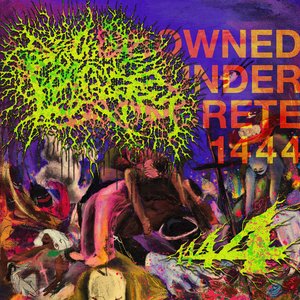 Image for '1444'