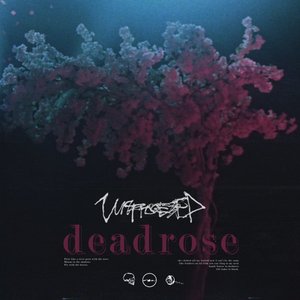 Image for 'Deadrose'