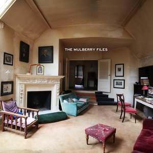Bild für 'The Mulberry Files'