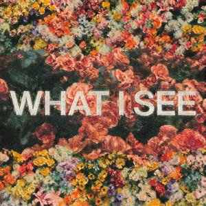 Image for 'What I See (feat. Chris Brown)'