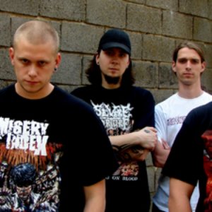Image for 'Moker'
