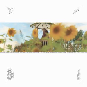 Image pour 'Sunrise Roadshow'