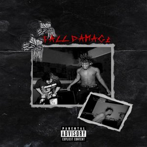'Fall Damage'の画像