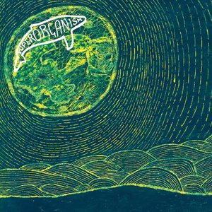 Image for 'Superorganism'