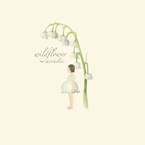 “wildflower (acoustics)”的封面