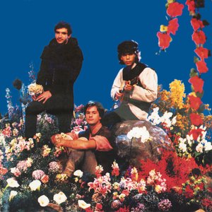 Image for 'O Descobrimento Do Brasil'