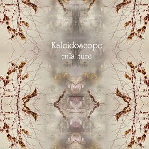 Изображение для 'Kaleidoscope'