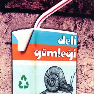 “Deli Gömleği”的封面