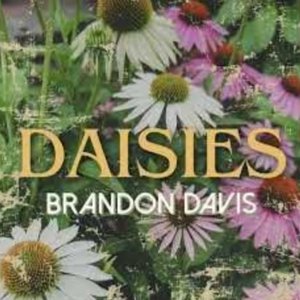 Image for 'Daisies'