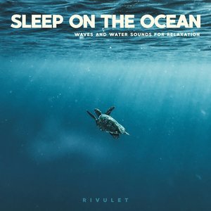 “Sleep On The Ocean”的封面