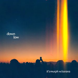 Immagine per 'Down Low'