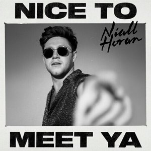 Image for 'Nice to Meet Ya'