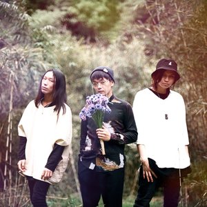 Zdjęcia dla 'Haze of the Bullet Blossom'
