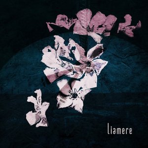 Image for 'Liamere'