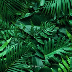 'wild jungle'の画像