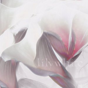 Image for 'lilywhite'